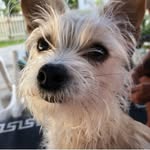 Lori Wade - @lorislife7 - Instagram