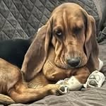 Lorie Walker - @bourbon_12345 - Instagram
