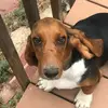 Lorie Walker - @nodecafplease - TikTok