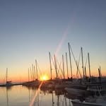 Lori Webster - @loriwebster9005 - Instagram