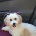 Lorie Webster - Facebook