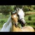 Lorie West - Facebook