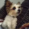 loriewoods13 - @loriewoods13 - TikTok