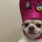 Lorin Lee - @aintlazy_10 - Instagram
