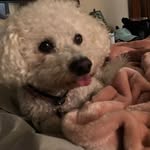 Lorin Lee - @lorin.lee.11 - Instagram
