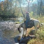 Lori Moore - @lori.moore.12139862 - Instagram