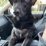 Lorin Moore Huntley - @stephanielorinmoore - Instagram