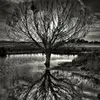 lorinmoorehuntley - @lorinmoorehuntley - TikTok