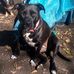 Lorenda Barnes - Facebook