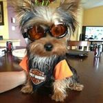 Lorinda Stewart Smith - @miathe2rocks - Instagram