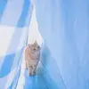 Lorine Lee936 - @lorinej_lee - TikTok