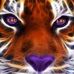Lorne Smith - Facebook