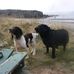 Lorna Alexander - Facebook