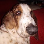 Lorna Barron - @lornabarron52 - Instagram