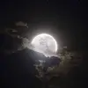 Lorna Bateman (Lori) - @lorna.bateman.lor - TikTok