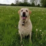 Lorna Bennett - @lornabennett48 - Instagram