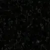 Lornacasey - @lornacasey17 - TikTok