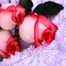 Lorna Chambers - Facebook