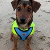 Lorna Chansuwan - @lorna.chansuwan - TikTok