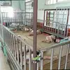 Đặng Nguyên Hoa - @lornaconradt1 - TikTok