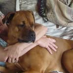 Lorna May Conrad - Facebook