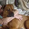 lornamayconrad - @lornamayconrad - TikTok
