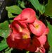 Lorna Cunningham - Facebook