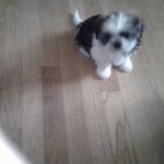 Lorna Fisher - @lorna.fisher.3720 - Instagram