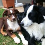 Lorna Fisher Rautenbach - @lornafisherrautenbach - Instagram