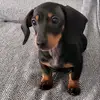 lornafuller - @lornafuller - TikTok