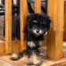 Lorna Hane Gardner - Facebook