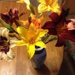 Lorna Hamilton - @lorna.hamilton.3762 - Instagram