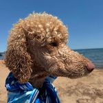 Lorna Hendrickson - @lornalucy - Instagram