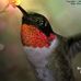 Lorna Huffman - Facebook