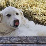 Lorna Masters - @lorna.masters.98 - Instagram