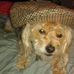 Lorna Mcbean - Facebook