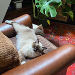 Lorna Nolan - @lornariver - Instagram