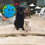 Lorna Pearson - @lornabathgate - Instagram
