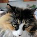 Lorna Shirer - Facebook