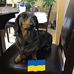 Lorna Stone - Facebook