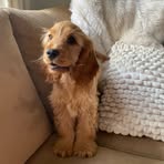 Lorna Steele - Facebook