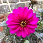 Lorna Sumner - @sumnerlorna - Instagram