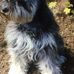 Lorna Sutherland - Facebook