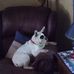 Lorna Terrell - Facebook