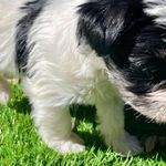 Lorna P Wade - @acekosmo - Instagram
