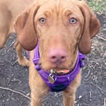 Lorna Weeks - @lornaweeks - Instagram