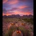 Loraine McCutcheon - Facebook