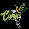 Lorraine Aarons - @lorraine.aarons - TikTok