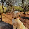 Lorraine Abraham - @lorraine.abraham0 - TikTok