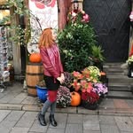 Lorraine Abramson - @lorraineabramson470 - Instagram